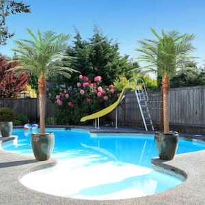 Product Height (ft.): 8 ft