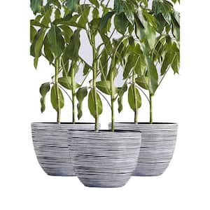 Plant Pots