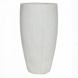 Outdoor in Plant Pots