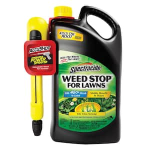 Spray in Weed Killer