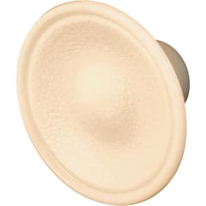 Window Handle