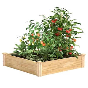 Container Length (in.): 45 - 50