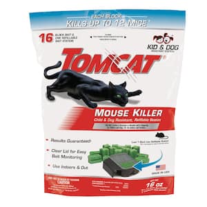 Mouse in Pest Control