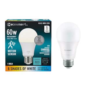 Motion Sensor