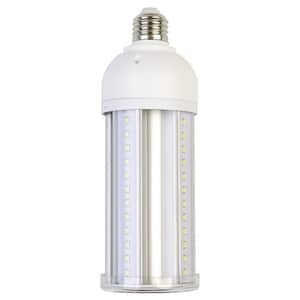 LED Light Bulbs