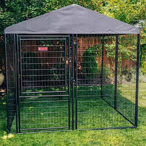 Large in Dog Kennels
