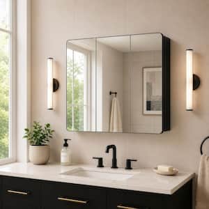 Medicine Cabinets with Mirrors