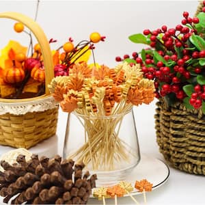 Toothpicks & Food Picks