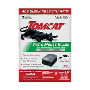 Rat in Bait Stations