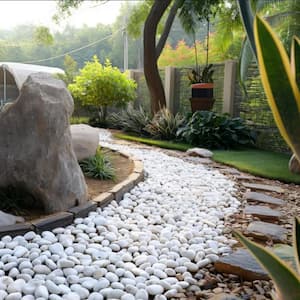 Rock Size (in.): Large (2.5 - 6 in.)