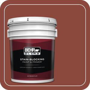 Paint & Primer in One