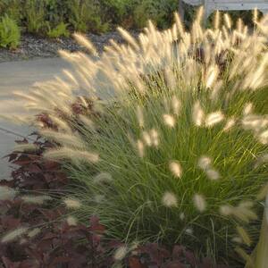 Erosion Control