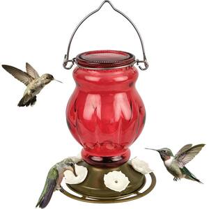 Hummingbird Feeders