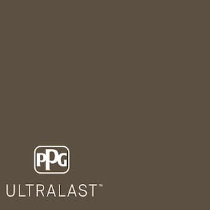 Star Anise PPG1022-7  Paint and Primer_UL