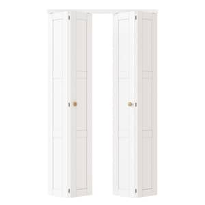 Door Size (WxH) in.: 48 x 80