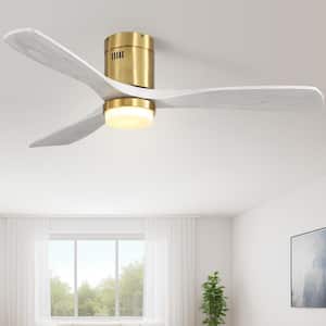 Flush Mount in Ceiling Fans With Lights