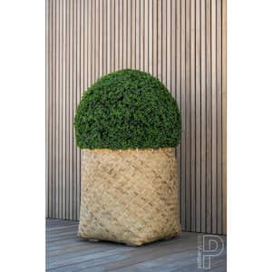 Artificial Topiaries