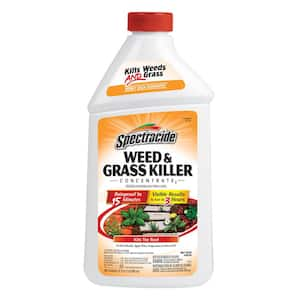 Concentrated in Weed & Grass Killer