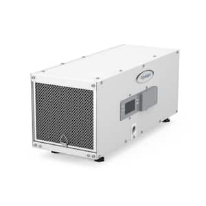 Crawlspace in Dehumidifiers