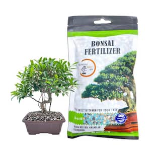 Plant Food & Fertilizer