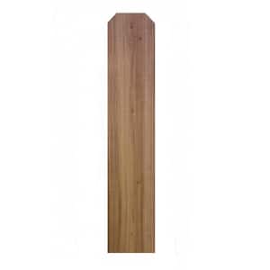 Cedar