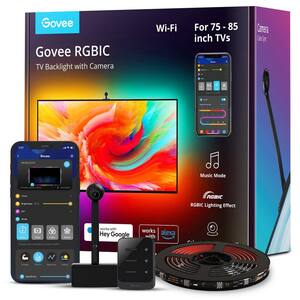 Govee - The Home Depot