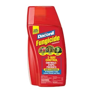Fungicide in Plant & Flower Disease Control
