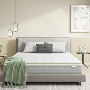 Mattress Thickness (in.): 10 in