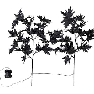 Plants
