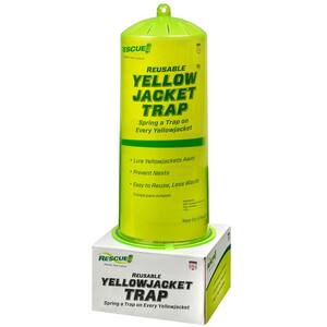 Insect Traps