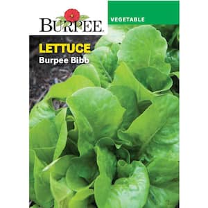 Vegetable