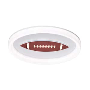 Flush Mount Ceiling Lights