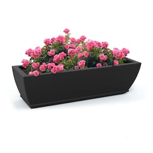 Black in Window Boxes