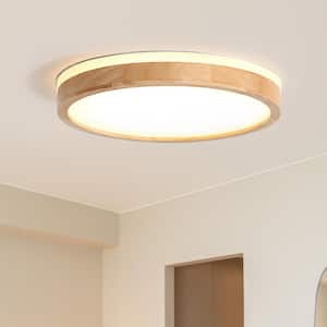Flush Mount Ceiling Lights