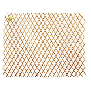 Trellis