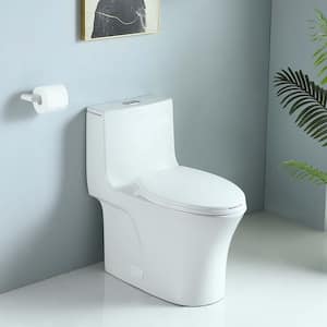 Dual Flush