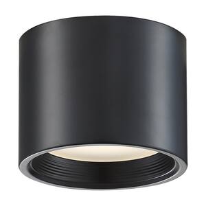 Flush Mount Ceiling Lights