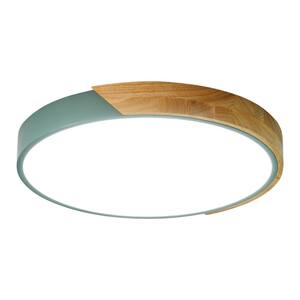 Flush Mount Ceiling Lights
