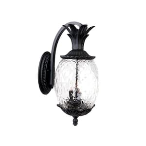 Black in Outdoor Sconces