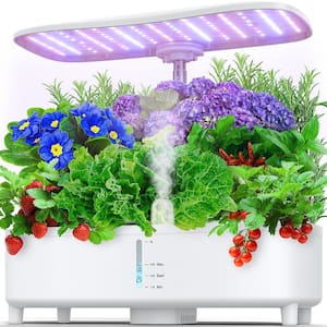 Hydroponic Systems