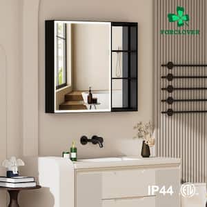 Medicine Cabinets with Mirrors