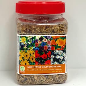 Flower Seeds
