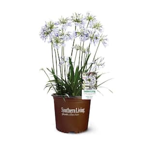 Flowering