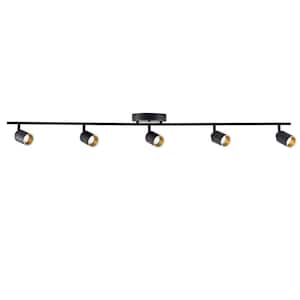Flush Mount Ceiling Lights
