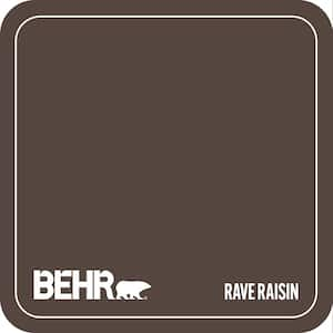 Home Decorators Collection HDC-MD-13 Rave Raisin Paint