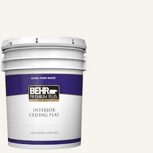 Ceiling Paint