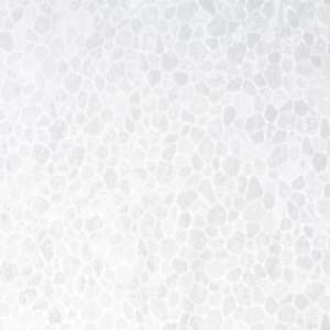 Window Film