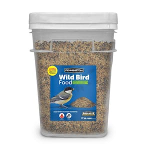 Multiple Bird Species