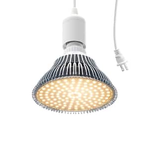 Number of Bulbs Required: 1