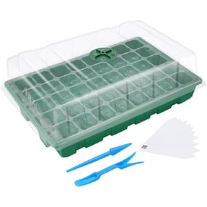 Trays & Domes